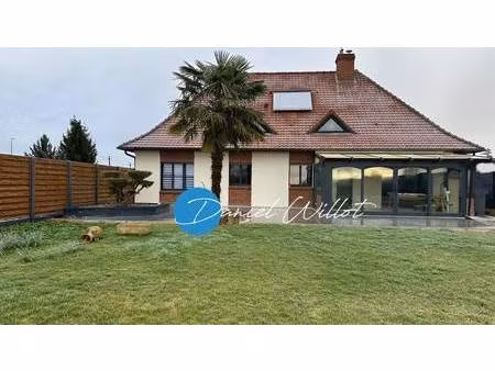 willot daniel capifrance