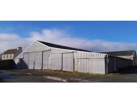 s. ngon kesseng & j. le jeune - le baller