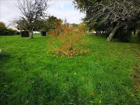 terrain constructible viabilisé à vendre