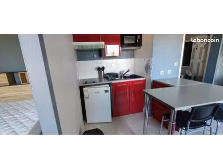 meublé 30.5m2 avec parking et cave