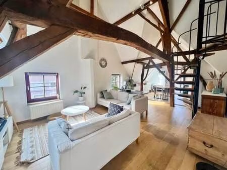 très bel appartement 1 chambre dans le centre de grez-doicea