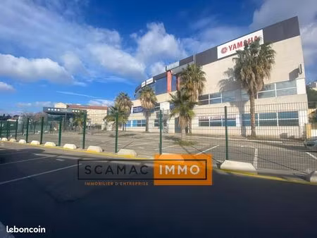 local d'activité 300 m²