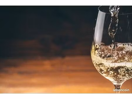 local commercial 56 m²