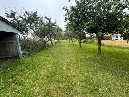 en vente terrain constructible 16 85 ares – 16 000 € |senoncourt-les-maujouy