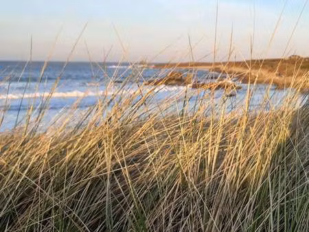 vente terrain à plouguerneau (29880) : à vendre / plouguerneau