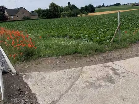 magnifique terrain à bâtir 810 m² libre de construction