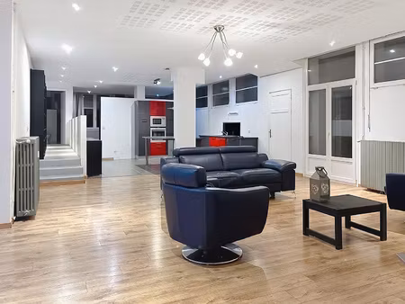 appartement loft de 248m2 avec terrasse  piscine  grand gara