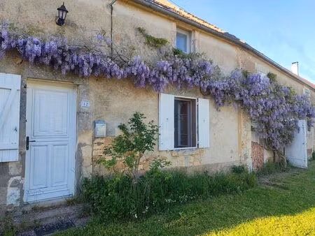 vente maison 5 pièces 107 m² druyes-les-belles-fontaines (89560)