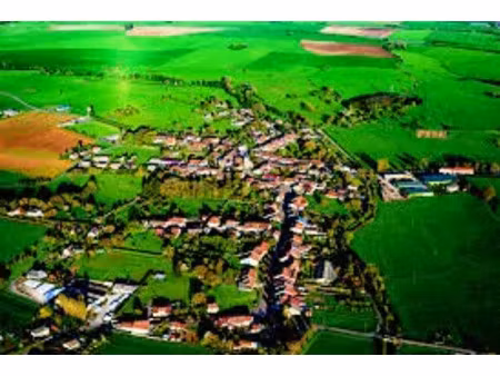 vente terrain 982 m² à breuvannes-en-bassigny (52240)  12 962 €