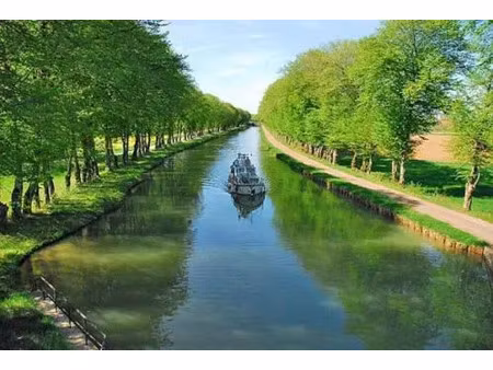 vente terrain 746 m² à eurville-bienville (52410)  36 553 €