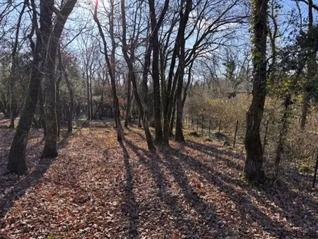 vente terrain 3560 m² à la tour-blanche (24320)  11 000 €