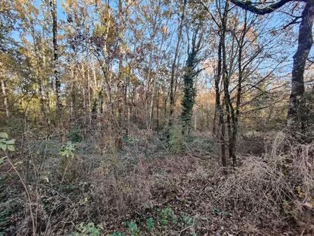 vente terrain à batir 2640 m² à auty (82220)  25 000 €