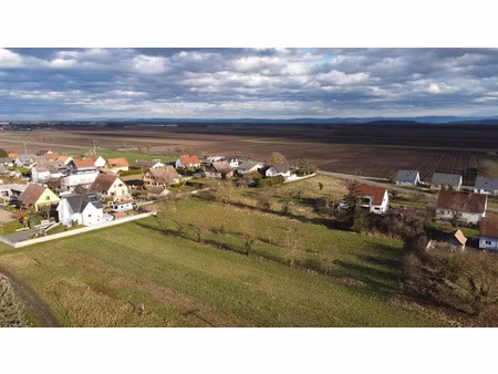 vente terrain à batir 415 m² à grussenheim (68320)  75 400 €