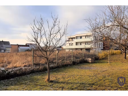 hésingue centre avec vue dégagée beau 4 pièces de 80 m2 avec