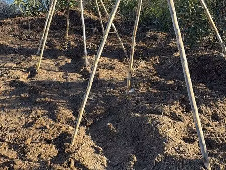 terrain pour jardinage