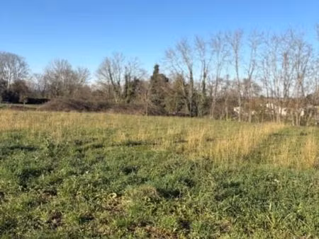 terrain 1 000 m² branne
