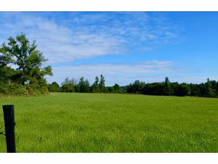 vente terrain 985 m² à salleboeuf (33370)  175 000 €