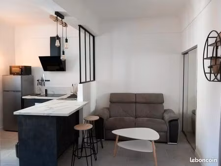 t1bis meublé entièrement rénové tout confort