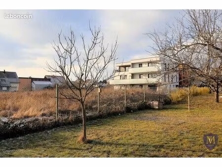 appartement 4 pièces 80 m²