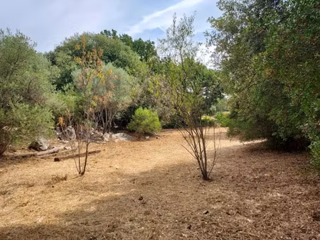 vente terrain 970 m² à camps-la-source (83170)  131 000 €