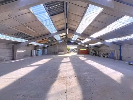 bien professionnel à louer à sint-antelinks € 1.350 (ljdvt) - topo-immo denderhoutem | zim