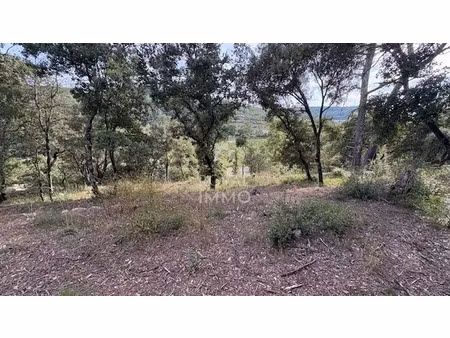 vente terrain à flassans-sur-issole (83340)  139 000 €