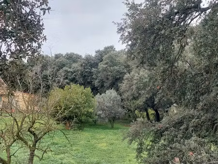 vente terrain 450 m² à plan-d'orgon (13750)  142 000 €