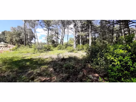 vente terrain 926 m² à trans-en-provence (83720)  149 000 €