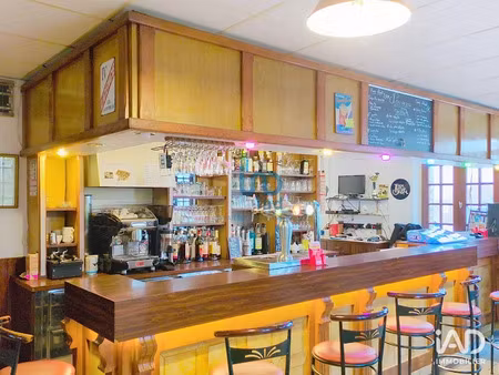 vente locaux professionnels 360 m² à saint-martin-sur-ocre (45500)  170 000 €