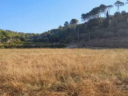 vente terrain 2900 m² à cotignac (83570)  204 000 €