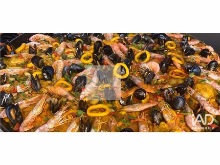 vente locaux professionnels 75 m² à le grau-du-roi (30240)  97 000 €