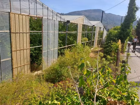 vente terrain 441 m² à carros (06510)  245 000 €