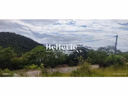 vente terrain à batir à terre de bas (97136)  230 000 €