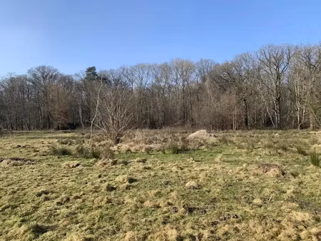 vente terrain à batir 5040 m² à vieille-eglise-en-yvelines (78125)  290 000 €