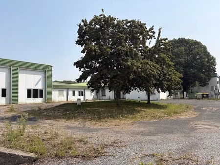 vente locaux professionnels 3000 m² à carmaux (81400)  380 000 €