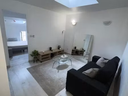location meublée appartement 2 pièces 40 m² à rive-de-gier (42800)  600 €