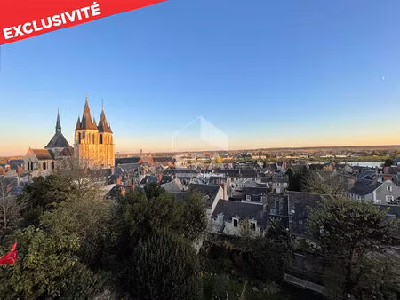 appart. a vendre t3 - blois - beaux volumes  vue imprenable sur monuments et loire