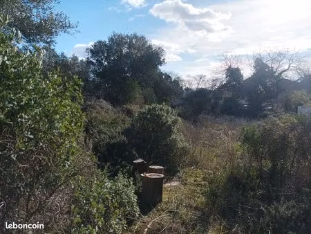 terrain constructible