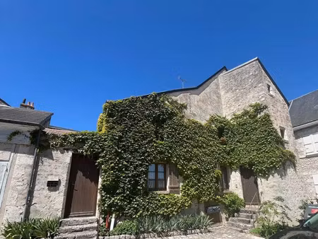 location locaux professionnels à beaugency (45190)  500 €