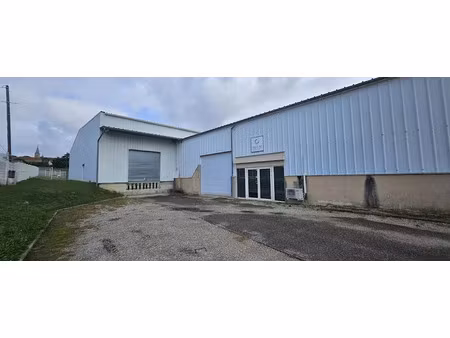 location locaux professionnels 1000 m² à sonnay (38150)  5 000 €