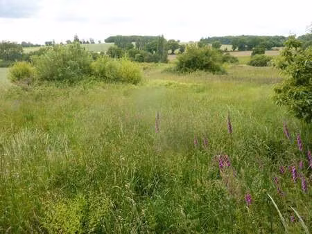 vente terrain à mayenne (53100) : à vendre / mayenne