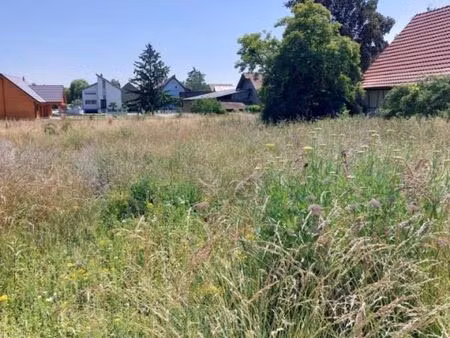 terrain 498 m² obersaasheim