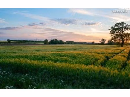 terrain 600 m² tain l hermitage