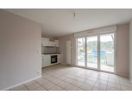 location appartement  36 m² t-2 à biscarrosse  650 €