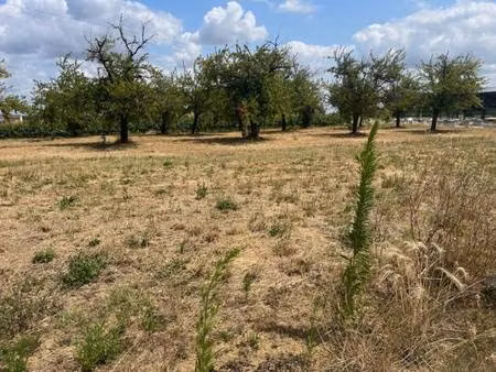 terrain constructible à vendre