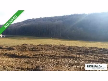 terrain 9 477 m² chatillon le duc