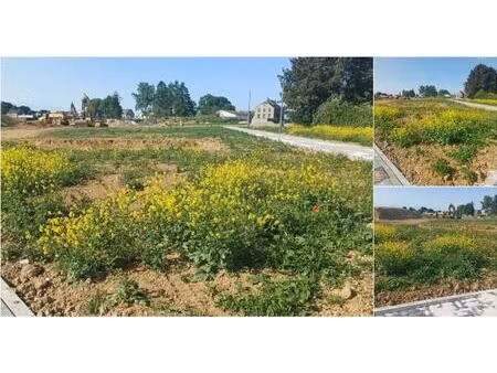 terrain à bâtir à vendre à les nozilles éghezée (vbd71113)