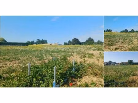 terrain à bâtir à vendre à les nozilles éghezée (vbd71129)