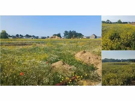 terrain à bâtir à vendre à les nozilles éghezée (vbd71133)