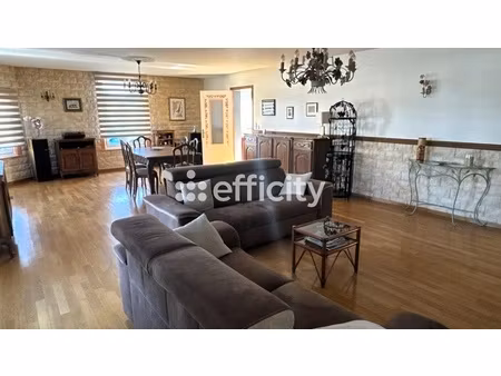 maison 7 pièces - 255 m²